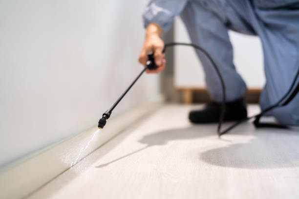 Bed Bug Pre-Treatment Preparation Assessment in Glennville