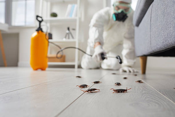 Post-Treatment Bed Bug Interceptor Monitoring in Glennville
